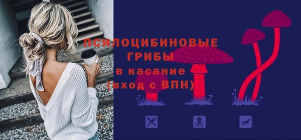 бошки Гусиноозёрск