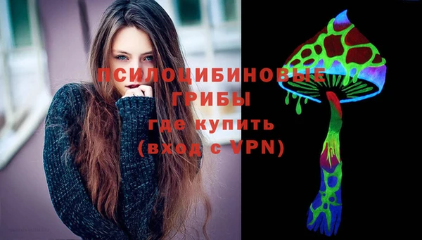 бошки Гусиноозёрск